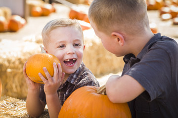 Fototapeta premium Young Boys at the Pumpkin Patch Talking and Having Fun.