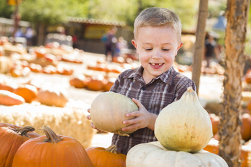 Fototapeta premium Little Boy Gathering His Pumpkins at a Pumpkin Patch.