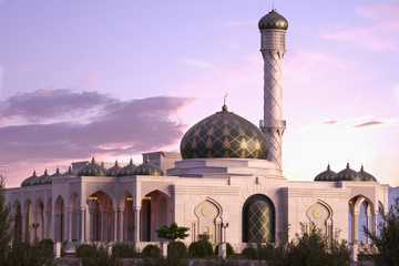 Mosque with a pink sunset