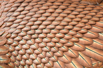 The fur of status of eagle in Langawi