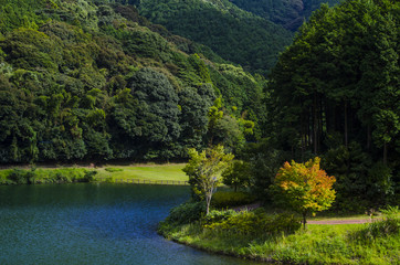Obraz premium quiet lakeside