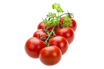Tomato branch with parsley
