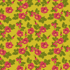 Seamless floral background with wild rose