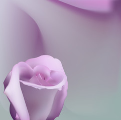 Delicate romantic background with pink rose