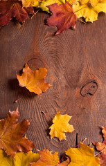 Obraz premium Autumn background