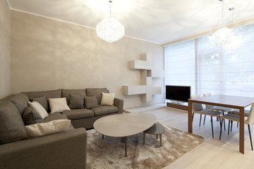 Interior of designer living room