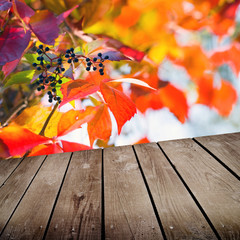 Naklejka na ściany i meble autumn theme and empty wooden deck table. 