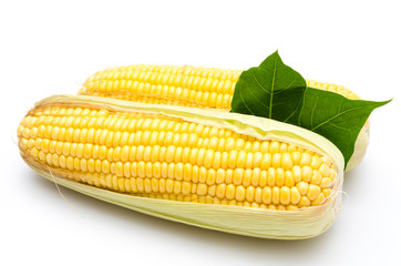 Corn