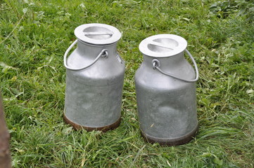 Frische Kuhmilch in Milchkannen auf einer Wiese