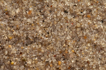 sand close up
