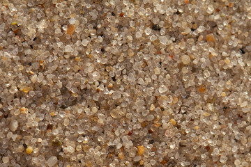 sand close up