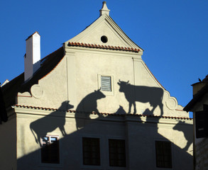 Shadows on the wall, cows on the roof
