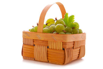 Green gooseberries in the fruit basket. 