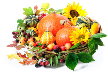 Naklejka premium Harvesting arrangement of pumpkins