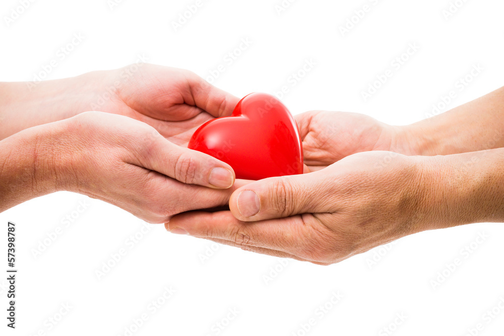 Wall mural heart in the human hands