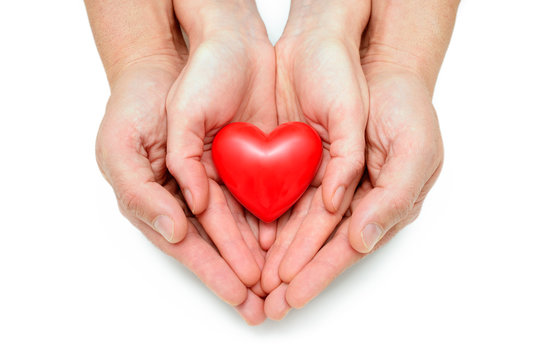 Heart at the human hands