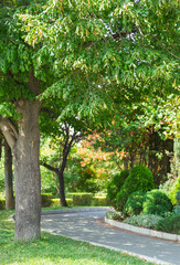 Fototapeta premium walkway, grass, park, tiles, curbs