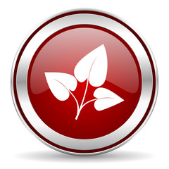 leaf icon