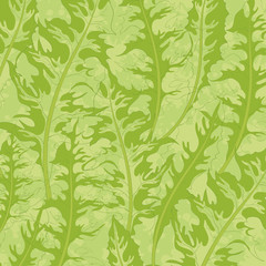 Pattern, green dandelion leaves