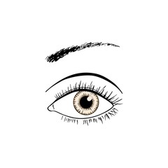 Brown eye line art