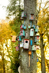 Lots of nesting boxes on a tree