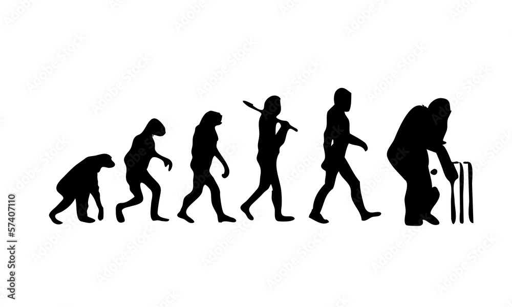 Poster Evolution Cricket