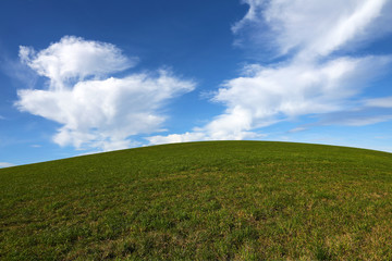 Fototapeta na wymiar grüne Wiese mit blauem Wolkenhintergrund