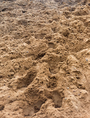 Traces on sand