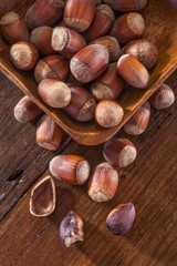 hazelnuts on the wooden table