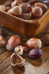 hazelnuts on the wooden table