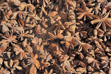 dried star anise seed