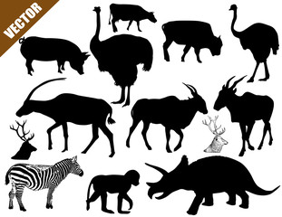 Set of animals collection