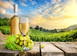 White wine and vineyard