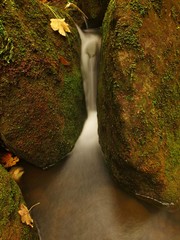 Cascade of small weir on mountain stream