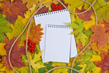 Naklejka na ściany i meble Papier w tle jesieni