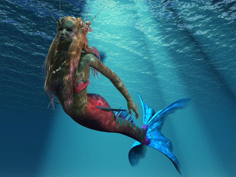 Mermaid of the Ocean