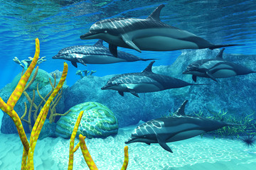 Obraz premium Striped Dolphins