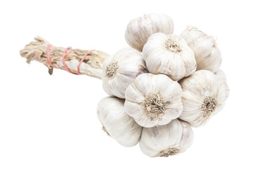 Isolated garlic bunch on white background