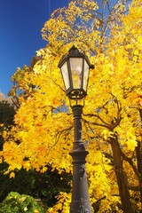 Detail the historical lamps in autumn park
