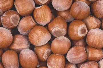 Hazelnuts background