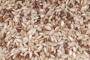 Brown rice background