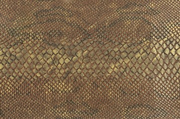 colour snake skin texture background