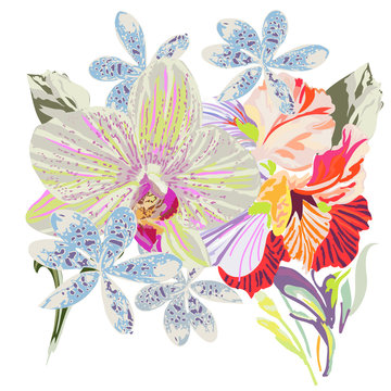 tropical flowers illustration