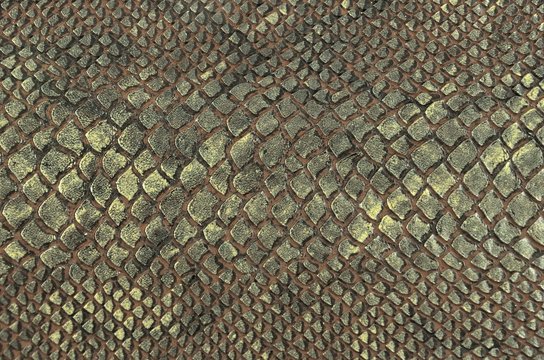 snake skin texture background