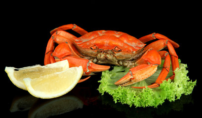Boiled crabs isolated on black