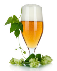 Glass of beer and hops, isolated on white