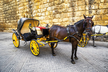 Fototapeta na wymiar Horse carriage in Seville, Spain.