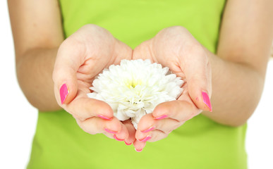 Obraz na płótnie Canvas Beautiful white flower in women hands isolated on white