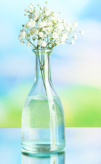 Flowers in bottle on natural background