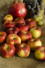 autumn grape, apple, pomegranate fruits on wool sack